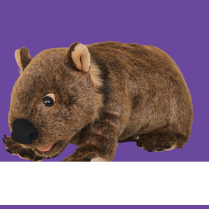 Create your own Wombat playdough mat